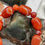 Thumbnail: Southern Red Agate