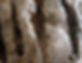 loafsandfishes2_edited.jpg