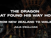 Emrys: The Dragon That Found His Way Home