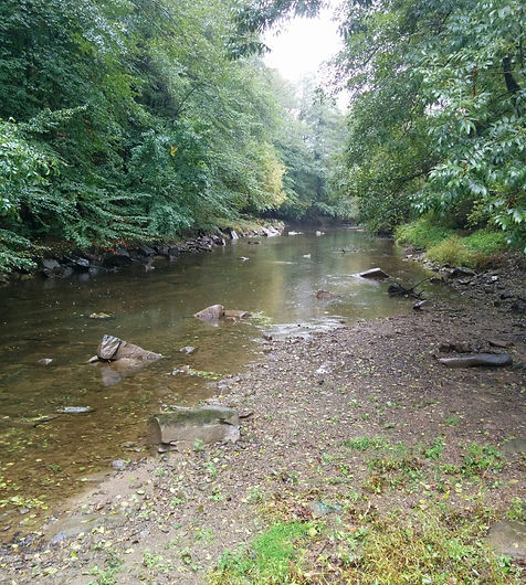 разходка-Правец