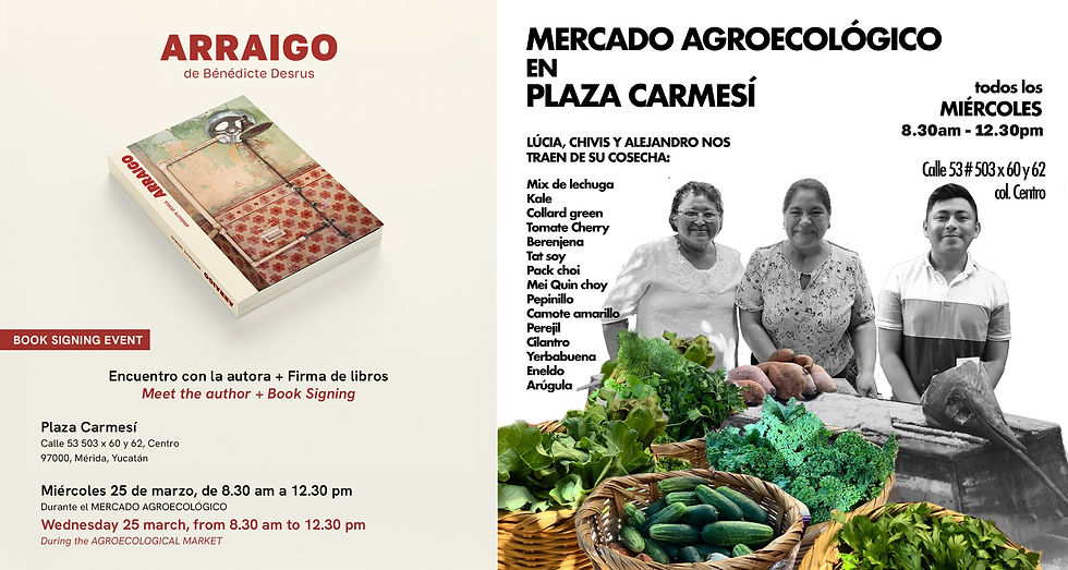 Encuentro con la autora + Firma de libros "ARRAIGO" de Bénédicte Desrus