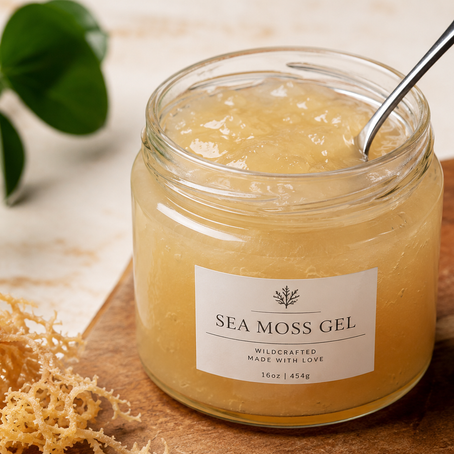 Top 10 Incredible Benefits of Sea Moss You Need to Know