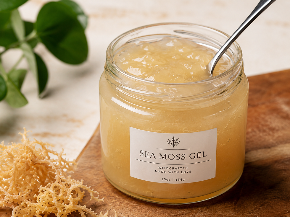 Top 10 Incredible Benefits of Sea Moss You Need to Know