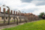 Auschwitz Tours