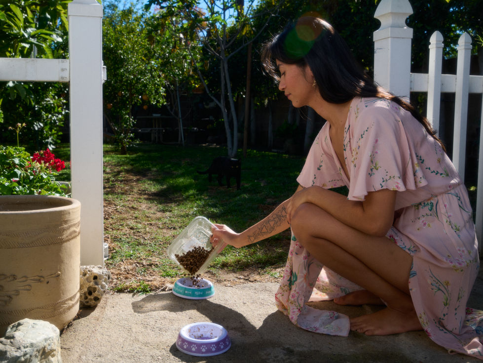 Rebecca - Cares For Stray Cats