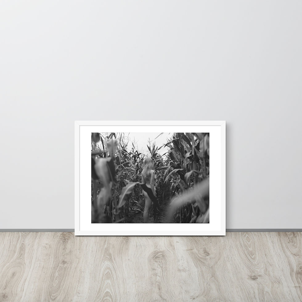 Thumbnail: Framed photo - Mountains & Valleys