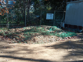 公園清掃　１２月２２日