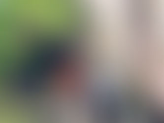 What Are the Different Approaches to Launching a Credit Card?