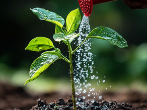 What to Know Before Raising a Debt Facility for Your Credit Card Program