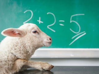 Pricing Without Learning Is Just Guessing