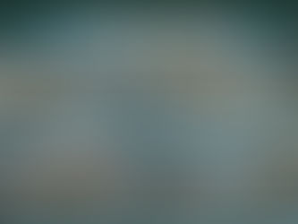 How Many Features Should I Have in My Credit Model?