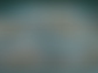 How Many Features Should I Have in My Credit Model?