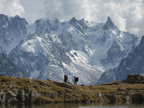 Why Two Good Credit Models Can Disagree — and Why That’s Not a Problem