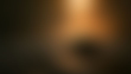 The Future of Leadership Energy: Balancing Flow, Focus, and Fatigue