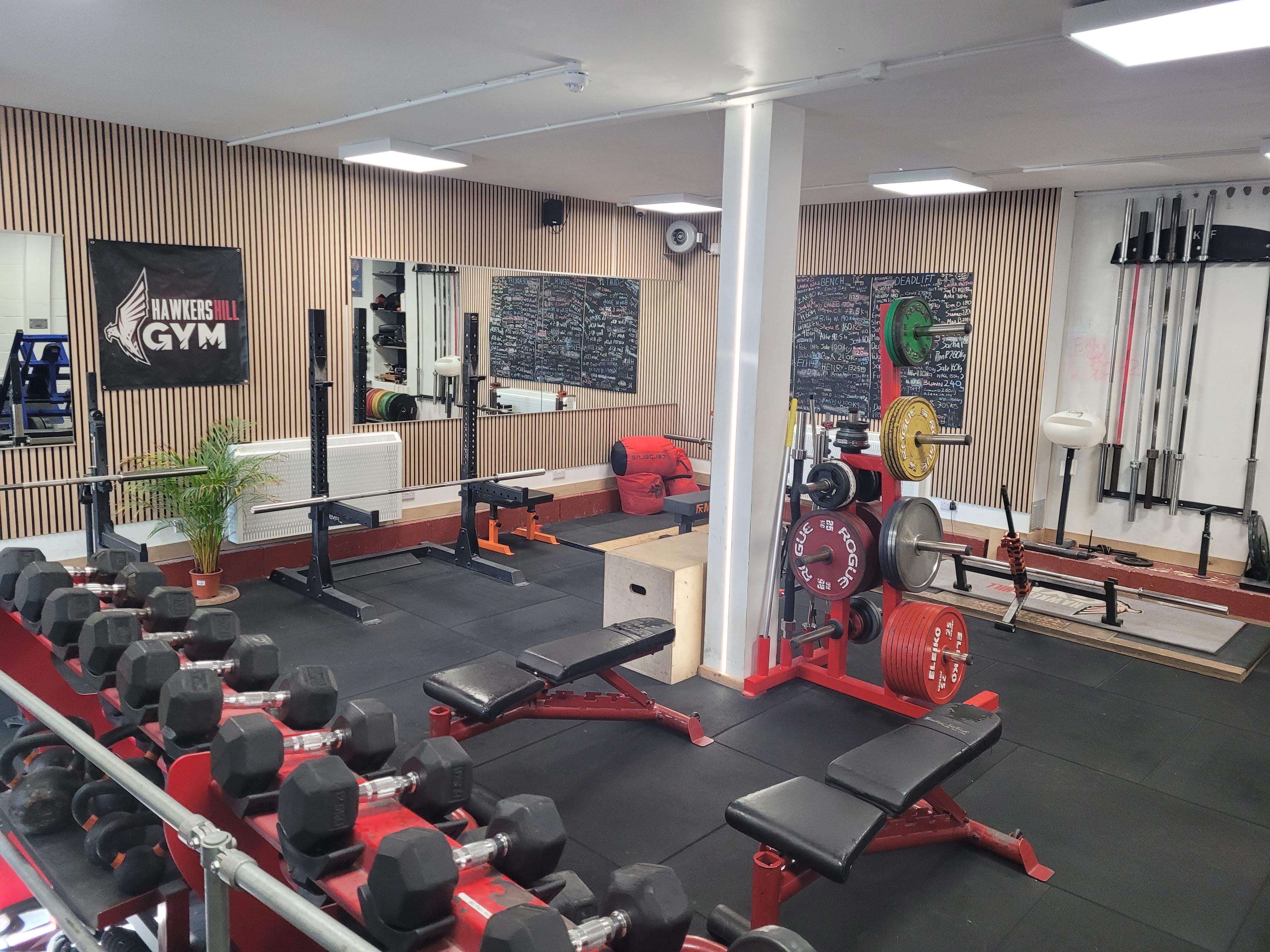 Strength training equipment inside Hawkers Hill Gym