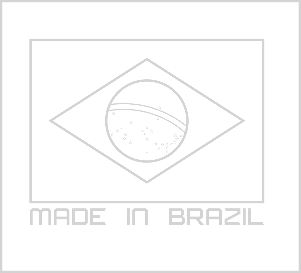 BANDEIRA VETORIZADA ENG_edited.png