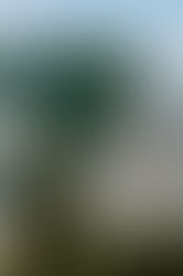 Dior: un paseo entre arte y artificio en los Jardines de las Tullerías