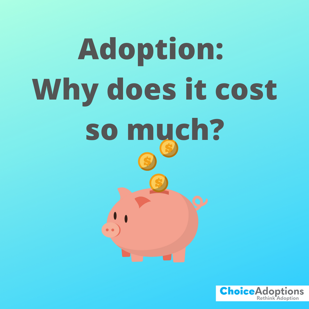 Why does adoption cost so much?
