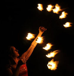 lily fire fans