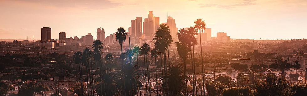 LA-Skyline 1.jpeg