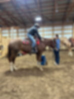 Daphne first mounting