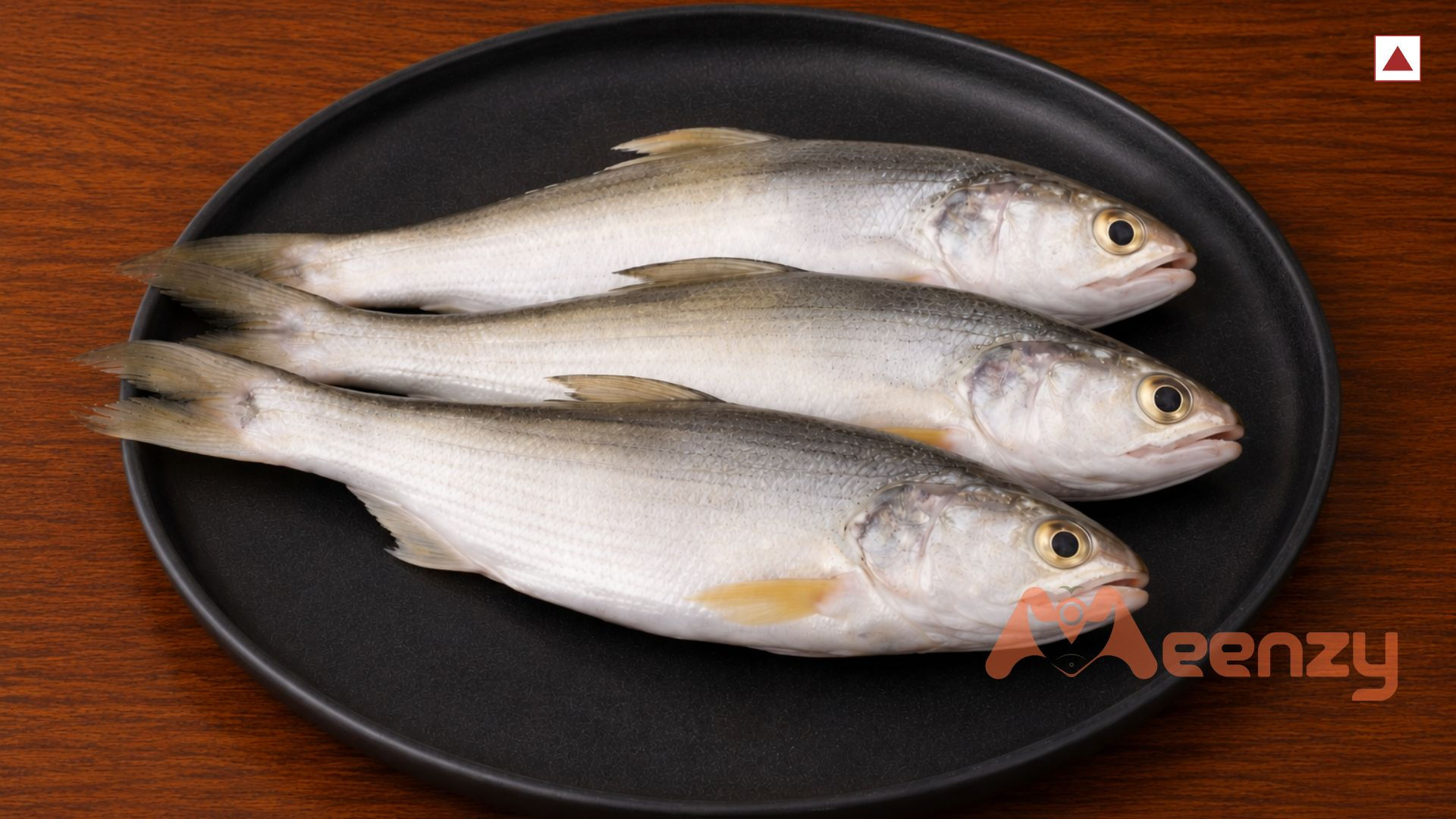 Kaala / Indian Salmon - (𝗚𝗿𝗼𝘀𝘀: 𝟳𝟬𝟬𝗴, 𝗡𝗲𝘁: 𝟱𝟬𝟬𝗴)