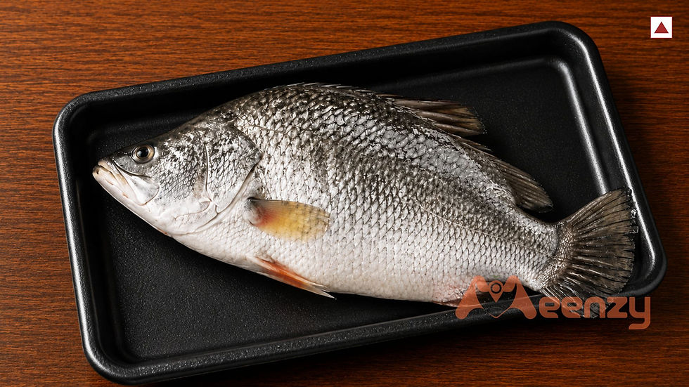 Thumbnail: Koduva Fish / Barramundi - Fillet(𝗚𝗿𝗼𝘀𝘀: 𝟳𝟱𝟬𝗴, 𝗡𝗲𝘁: 𝟯𝟱𝟬𝗴)