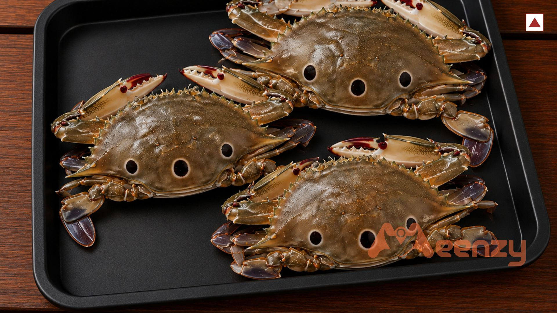 Nandu / 3 Spotted Crab - (𝗚𝗿𝗼𝘀𝘀: 𝟳𝟱𝟬𝗴, 𝗡𝗲𝘁: 𝟰𝟬𝟬𝗴)