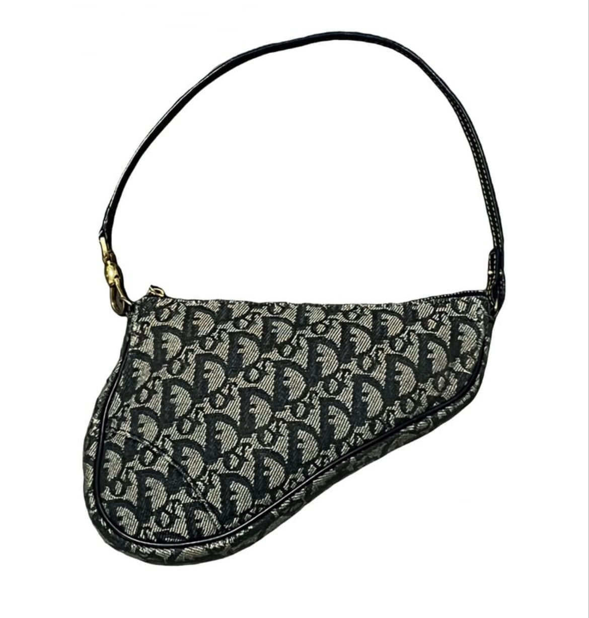 Dior saddle bag