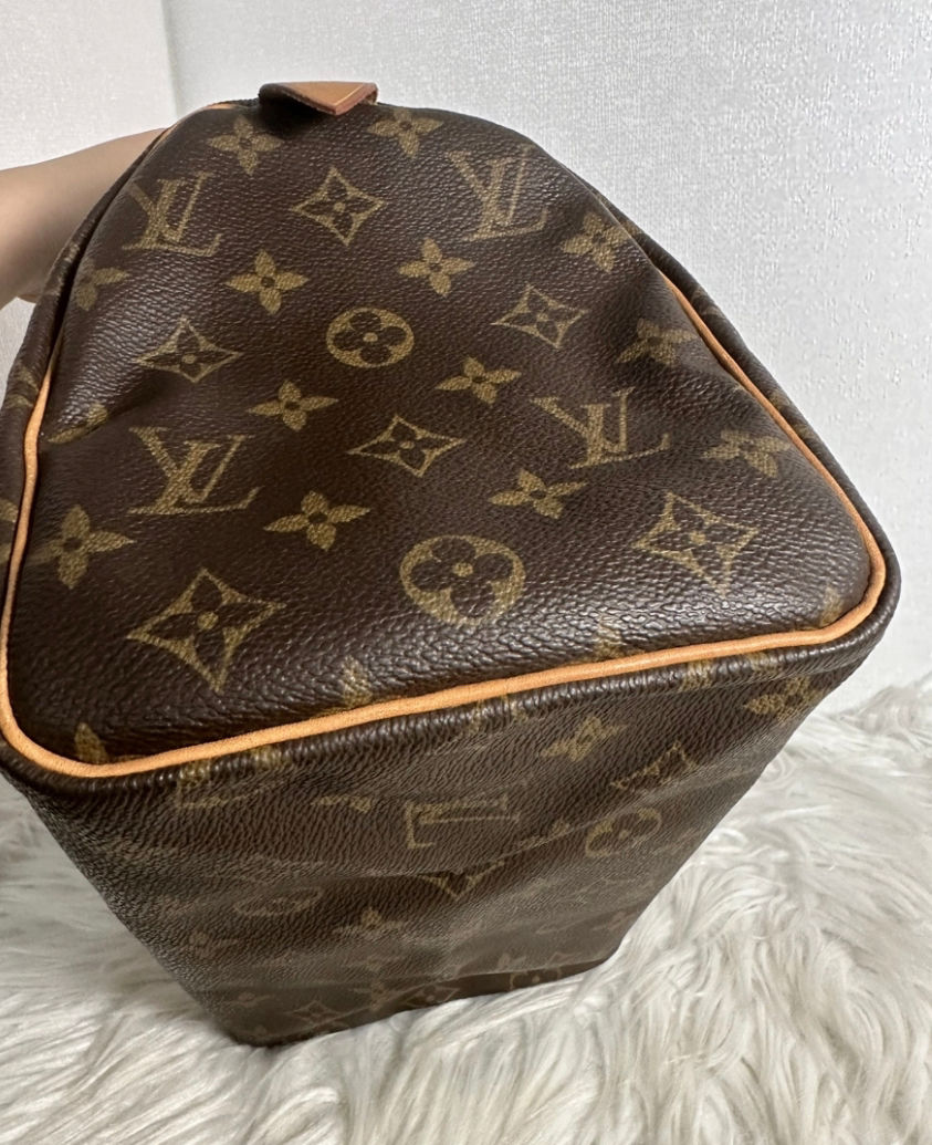 Thumbnail: Louis Vuitton speedy 25 