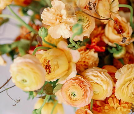 30-Monika & Calum-Liz Andolina Photography-1192_edited.jpg