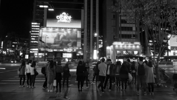 트리플라잇.gif