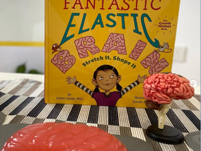 Your Fantastic Elastic Brain