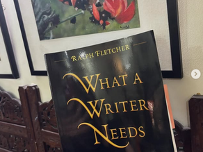 What A Writer Needs