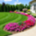 beautiful lawn with beautiful flower beds.jpg