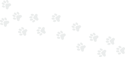 Flippedvecteezy_minimalist-dog-paw-print-design-a-perfect-symbol-for-pet-lovers_55596022.p