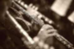 Newcastle Youth Orchestra British Proms