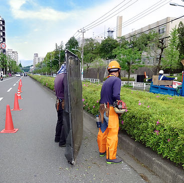 街路樹　維持　管理
