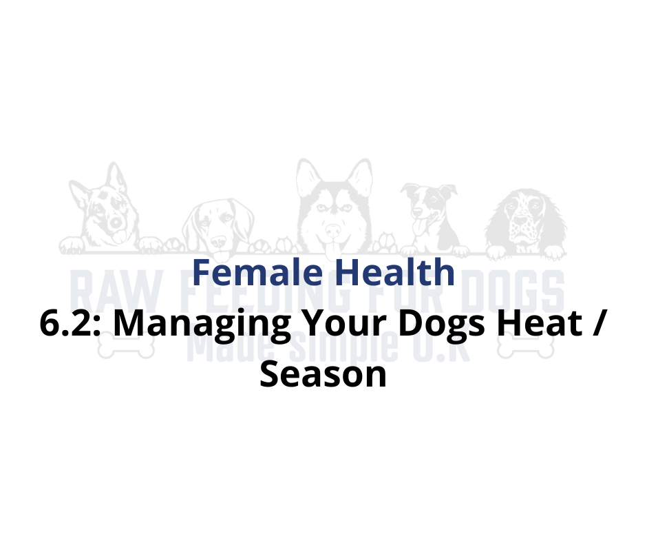 6 2 Managing Your Dogs Heat Season 6-2-managing-your-dogs-heat-season