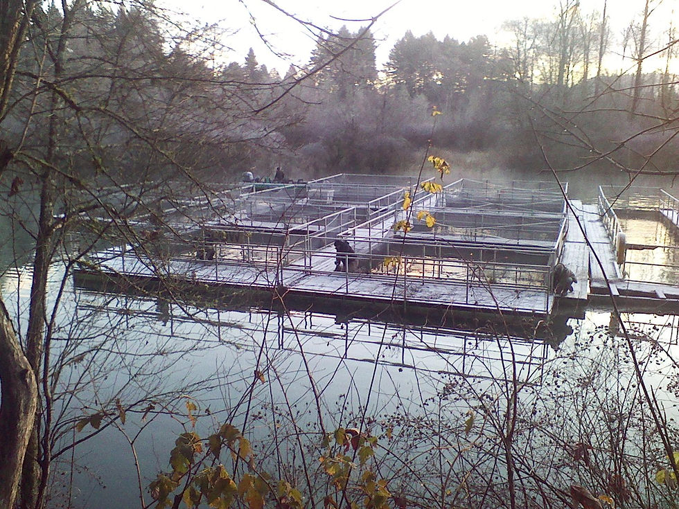 Net Pens