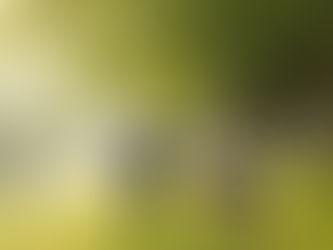 #590 地図に載らない心地良さ