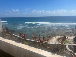 WhatsApp Image 2024-11-28 at 12.17.47 PM