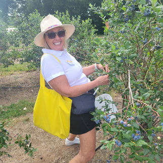 blueberry picking