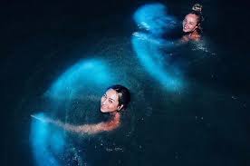bioluminescense swimming