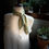 Thumbnail: Organic Cotton Bandana
