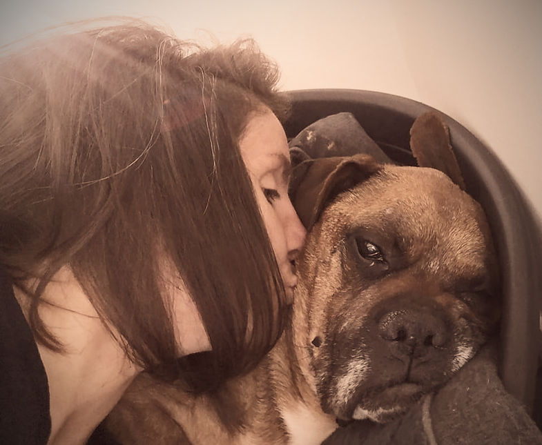 Mon chien Frost