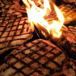 12265846_1224174037610463_661328232922806322_o