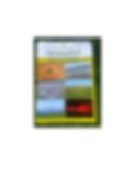 front page of book.jpg