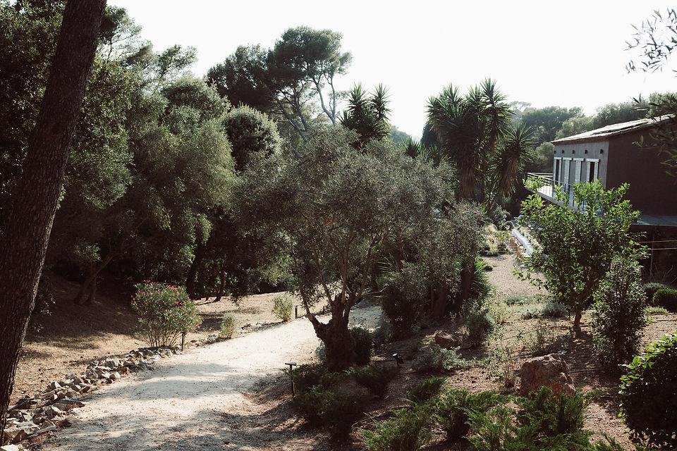 photographe-evenement-familial-toulon.jpg.jpg
