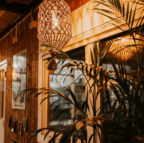 Reportage photo pour les professionnels du secteur du végétal - Mise en avant du Rooftop de l'entreprise - Ambiance naturelle et chaleureuse - photo par emm'laphoto